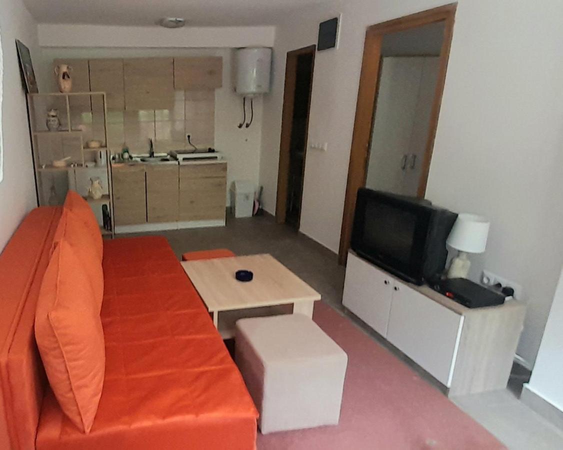 Apartman Nesa Boracko Jezero 科尼茨 外观 照片