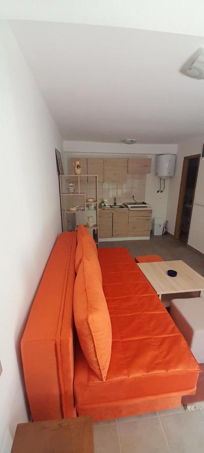 Apartman Nesa Boracko Jezero 科尼茨 外观 照片