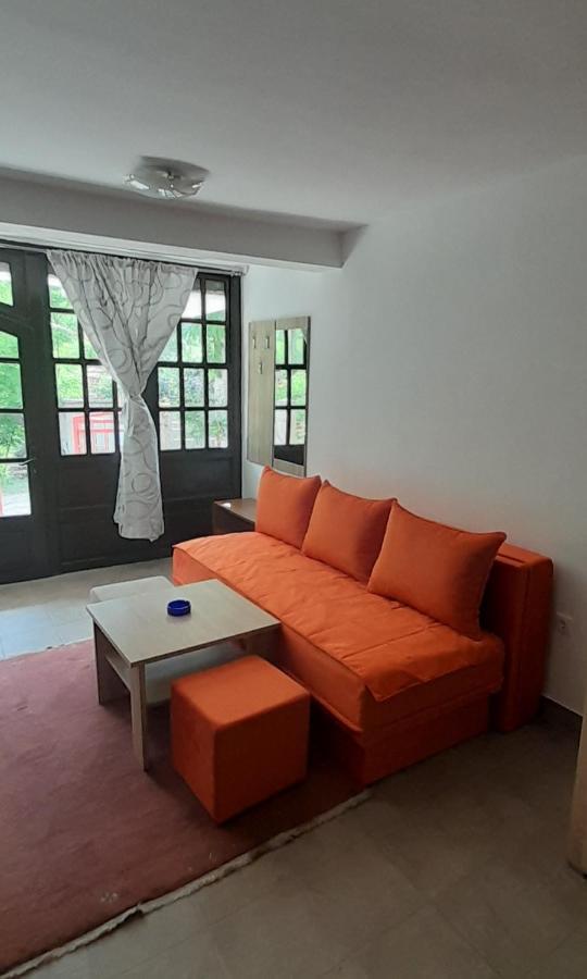 Apartman Nesa Boracko Jezero 科尼茨 外观 照片